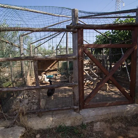 Bed & Breakfast Biancolivo In Salento Gallipoli