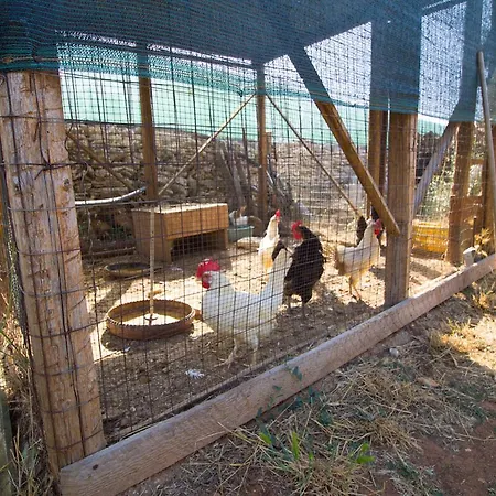 Biancolivo In Salento Bed & Breakfast Gallipoli