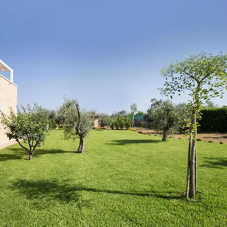 Biancolivo In Salento Bed & Breakfast Gallipoli