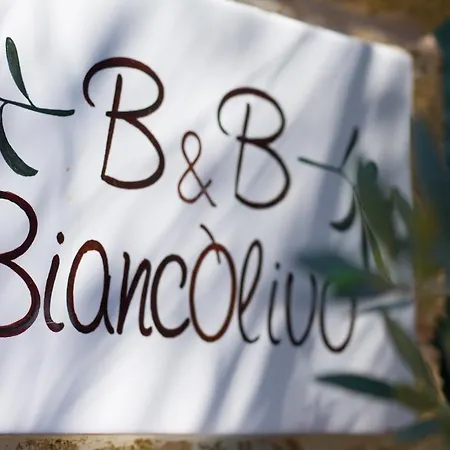 Biancolivo In Salento Gallipoli